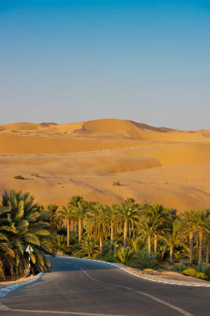 Desert dunes in Liwa oasis, Abu Dhabi, United Arab Emiratesの写真素材