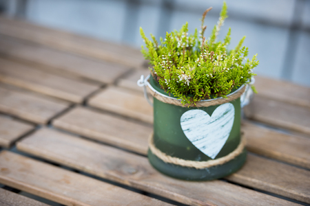 Green small pot with flowers and heart on the table in an outdoor cafeの写真素材