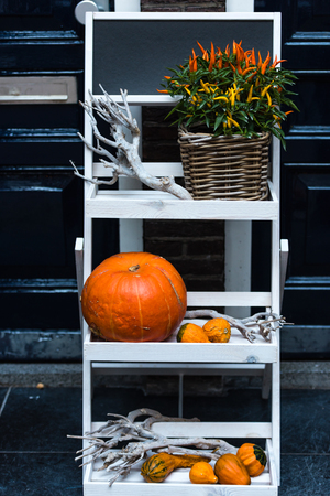 Orange pumpkins as a decoration. Shot with selective focusの写真素材