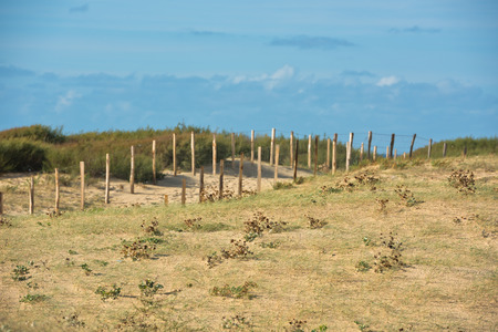 Wooden fence on an Atlantic beach in France, The Gironde Department. Shot with a selective focus