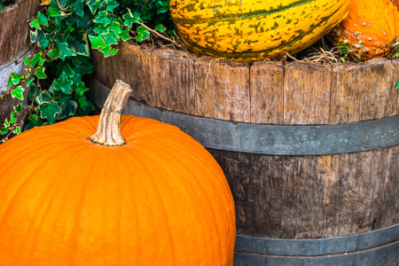 Orange pumpkins as a decoration. Shot with selective focusの写真素材