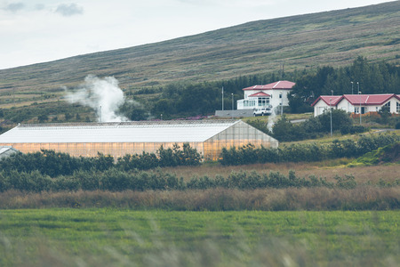 Geothermal greenhouses in the Northern Icelandの写真素材