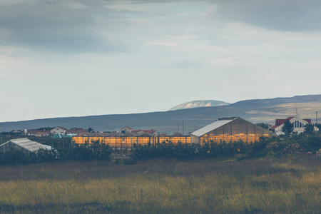 Geothermal greenhouses in the Northern Icelandの写真素材