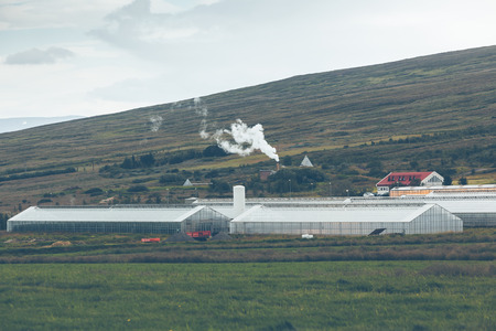 Geothermal greenhouses in the Northern Icelandの写真素材