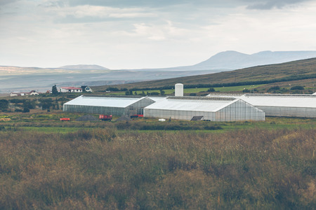 Geothermal greenhouses in the Northern Icelandの写真素材