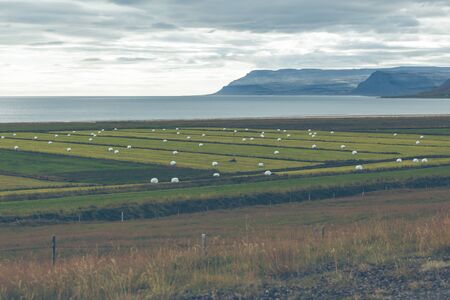 White Hay Rolls on a Green Field of Iceland. Horizontal shotの写真素材