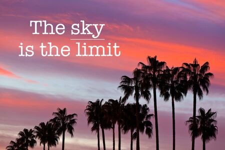 Inspirational motivation quote with phrase "The sky is the limit", Palm Tree Silhouettes on Sunset Sky Backgroundの写真素材