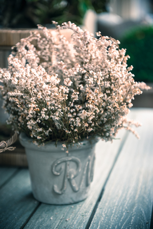 Potted white heather flowers standing on the wooden table outdoorsの写真素材