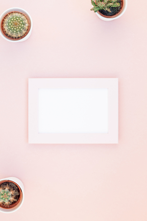 Creative flat lay overhead top view small pots with decorative cactuses plants with copy space on millennial pink paper mock up in minimalism style. Frame template for feminine blog, social mediaの写真素材