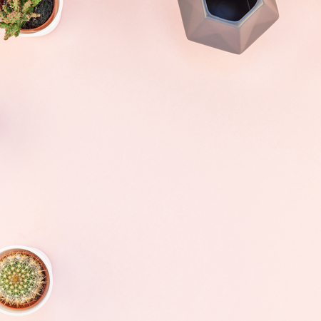 Square flat lay overhead top view small pots with decorative cactuses plants with copy space on millennial pink paper background in minimalism style. Trendy template for feminine blog, social mediaの写真素材