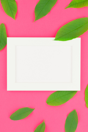 Creative flat lay top view pattern with fresh green leaves on bright pink background with white frame mock up and copy space in minimal pop art style, template for textの写真素材