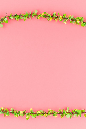 Creative flat lay concept top view of spring blossoming barberry branch with green leaves, barbs and yellow flowers on pastel color paper background with copy space in minimal style, template frameの写真素材