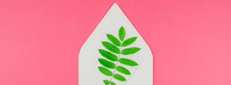 Creative flat lay top view white letter mock up with fresh green rowan tree leaves on bright pink...