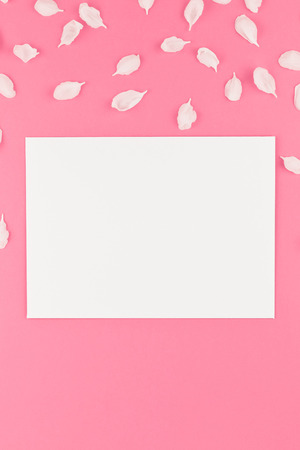 Creative flat lay concept top view of blank postcard mock up and apple tree flowers petals on pastel pink background with copy space in minimal style, template for textの写真素材