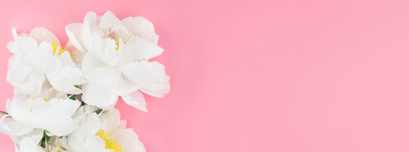 Blooming white peony flowers on pastel millennial pink color paper background with copy space in minimal style, template for postcard, lettering, text design. Long wide banner for blog or social mediaの写真素材