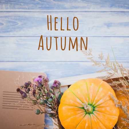 Square Top view of autumn orange pumpkins and dry flowers and grass in box thanksgiving background over blue toned wooden table with greeting message Hello Autumnの写真素材