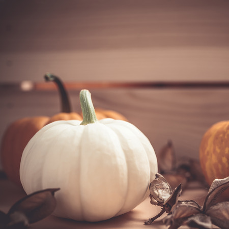 Autumn orange and white pumpkins thanksgiving halloween background wooden box with copy space.の写真素材