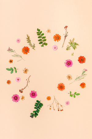 Creative Top view flat lay autumn composition. Frame made of dried flowers and leaves on color paper background with copy space. Template for fall harvest wedding anniversary invitation cardsの写真素材