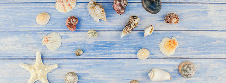Long wide banner flat lay concept of summer travel vacations. Top view of seashells and starfish on pastel blue wooden planks background with copy space in rustic styleの写真素材