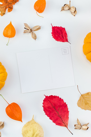 Creative Top view flat lay autumn composition. Pumpkins dried orange flowers leaves background copy space. Template postcard mockup fall harvest thanksgiving halloween anniversary invitation cardsの写真素材