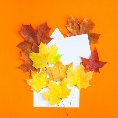 Creative Top view flat lay autumn concept composition. Envelope dried bright autumn leaves orange...