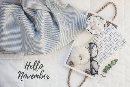 Creative Top view flat lay sill life autumn composition. Hot cacao coffee chocolate with marshmallows mug pumpkins glasses on tray in bed. Concept fall cozy warm home comfort morning natural lightの写真素材