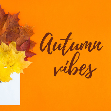 Creative Top view flat lay autumn concept composition. Envelope dried bright autumn leaves orange paper background copy space. Square mock up fall thanksgiving wedding anniversary invitation cardsの写真素材