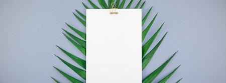 Creative top view mock up blank paper sheet postcard clipboard tropical palm leaves blue grey paper...