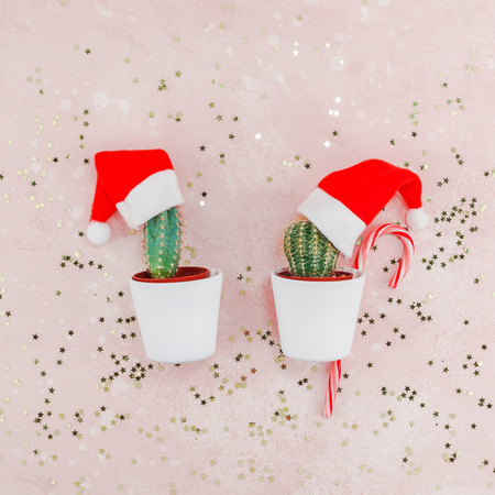 New Year or Christmas creative composition flat lay top view Xmas holiday celebration handmade santa cactuses pink golden stars background copy space Template for greeting card text designの写真素材