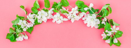 Creative top view apple tree blooming flowers brunch frame on millennial pink background with copy space in minimal style, template for lettering, text or your designの写真素材