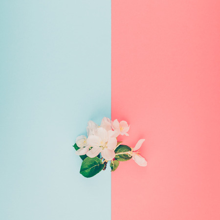 Creative top view apple tree blooming flowers brunch frame on millennial pink background with copy space in minimal style, template for lettering, text or your design. Living coralの写真素材