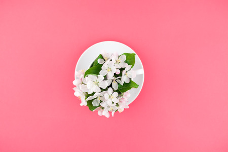 Creative flat lay concept top view of coffee cup and white apple tree blooming flowers on pink background with copy space in minimal style, template for textの写真素材
