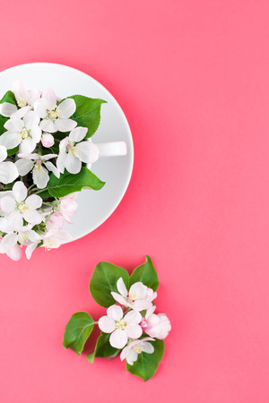 Creative flat lay concept top view of coffee cup and white apple tree blooming flowers on pink background with copy space in minimal style, template for textの写真素材