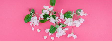 Creative top view apple tree blooming flowers brunch frame on millennial pink background with copy space in minimal style, template for lettering, text or your designの写真素材