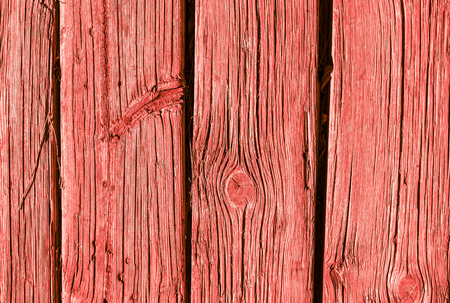 Old weathered wooden plank background painted in living coral, wooden texture wall backgroundの写真素材
