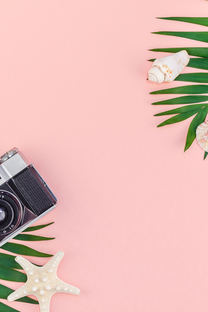 Creative flat lay top view of green tropical palm leaves coconut fruits and old photo camera on pink paper background with copy space. Minimal tropical palm leaf plants summer travel concept templateの写真素材