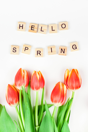 Creative flat lay top view welcome spring greeting card with red tulips flowers on white background with copy space. Celebration Postcard templateの写真素材