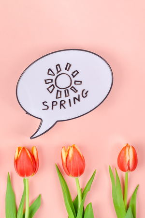 Creative flat lay top view welcome spring greeting card with red tulips flowers on living coral pink background with copy space. Celebration Postcard templateの写真素材