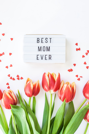 Creative flat lay top view Mothers Day greeting card with red tulips spring flowers on white background. Celebration Postcard templateの写真素材