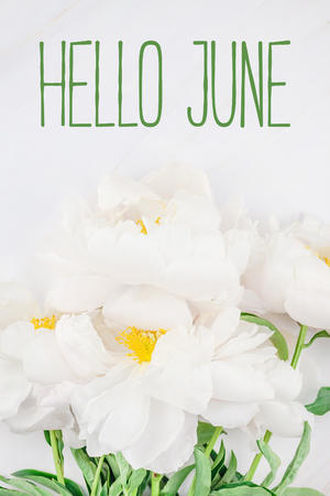 Beautiful blooming white peony flowers on marble background with Hello June text message for postcard or social nets. Wedding invitation and celebration greeting conceptの写真素材