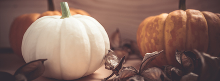 Autumn orange and white pumpkins thanksgiving halloween background wooden box with copy space. Template for fall harvest mood text. Long wide bannerの写真素材