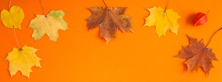 Creative Top view flat lay autumn concept composition. Dried bright autumn leaves orange paper frame...