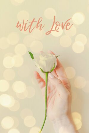 Creative top view postcard woman hand holding fresh white rose, text with Love on pastel paper background with bokeh. Template holiday postcard wedding invitation cardの写真素材
