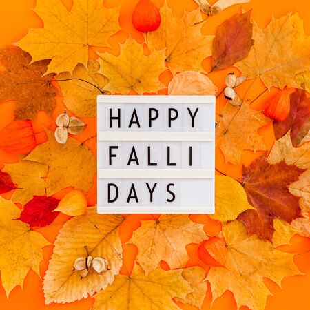 Autumn flat lay composition with dry leaves wreath frame and lightbox message Happy fallidays on...