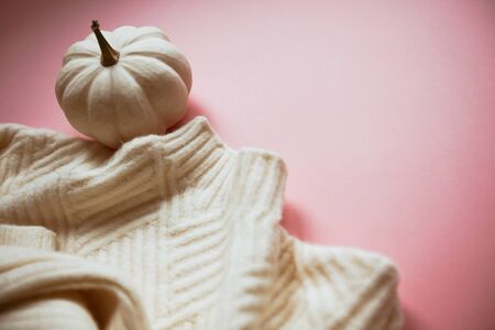 Creative autumn white sweater and pumpkin on millennial pink background copy space minimal style with natural light and shadows. Fall season template for feminine blog social mediaの写真素材