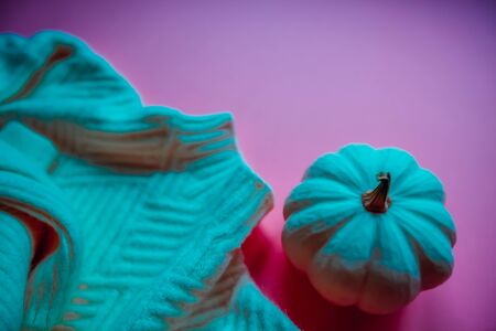 Creative autumn sweater and pumpkin composition in neon pink purple and green lights color background copy space minimal style. Fall season trendy template for feminine blog social mediaの写真素材
