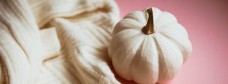 Creative autumn white sweater and pumpkin on millennial pink background copy space minimal style with natural light and shadows. Fall season template for feminine blog social mediaの写真素材