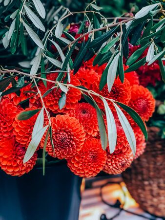 Beautiful dahlias flowers bouquet in small florist shop. Modern style flowers arrangement in lifestyle natural light composition. Small business. Mobile photoの写真素材