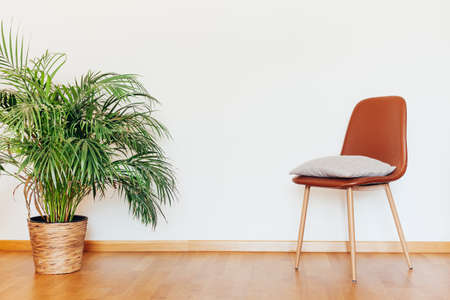 Indoors flat wall mockup with green potted houseplant home decoration and chair with clothes in...