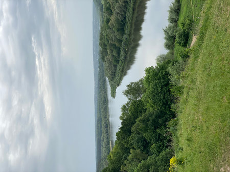 Scenic river landscape with lush greenery and cloudy sky, perfect for nature backgroundの写真素材